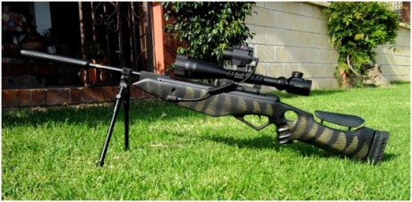 Esta es la customización de una Gamo Mod. 600. Me llevo varios meses de trabajo, pero, al fin terminé.
Tened 60