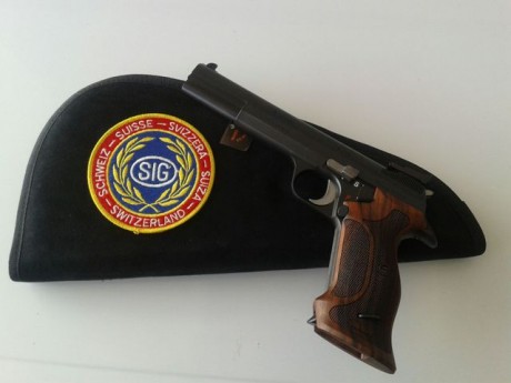 Hola amigos
Hay suelto otra de mis dudas

Sig p210 de 5"(1800,tanto la barra uno como la Target nueva)
Hk 121