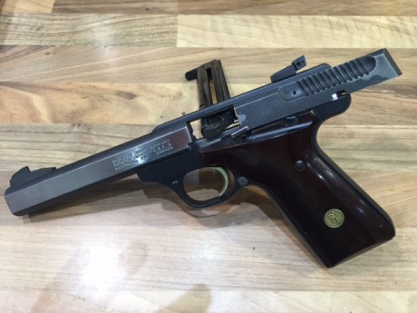 VENDO PISTOLA BROWNING BuckMark 22

Esta en buen estado, no falla, agrupa bien

Un cargador, no tiene 00