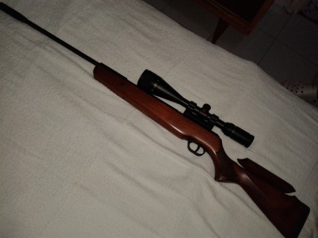 - Vendo carabina Cometa Fenix 400 star en calibre 5,5, en impecable estado tanto de pavón como de culata, 02