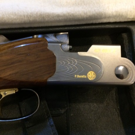 Buenas tardes

Vendo , por no usar, una escopeta Beretta 682 GOLD E, especial para Trap
La escopeta está 01