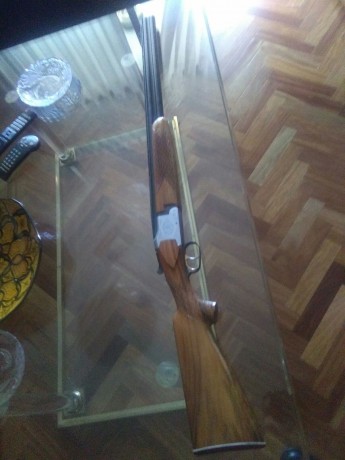 Vendo 4 escopetas por falta de uso. Precio especial en caso de compra del lote completo 

Sarrasqueta 02