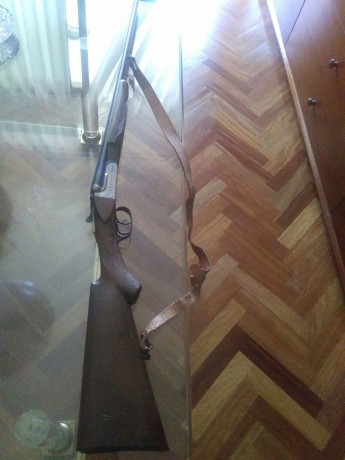 Vendo 4 escopetas por falta de uso. Precio especial en caso de compra del lote completo 

Sarrasqueta 01