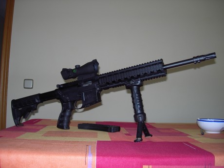 Hola, voy a comprar un AR15 cal.22 de S&W de los que no trae bocacha apaga llamas y por estética me 20