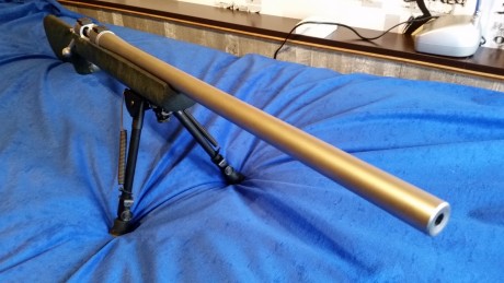 vuelvo a poner a la venta este equipo de fclass compuesto por:
remington 700mil spec 308w.
visor bushnell 10