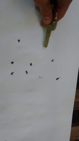 Buenas foreros, tras varios días con quebraderos de cabeza sobre qué carabina comprar de este calibre, 101