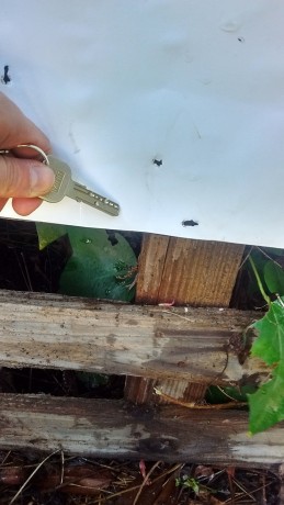 Buenas foreros, tras varios días con quebraderos de cabeza sobre qué carabina comprar de este calibre, 100
