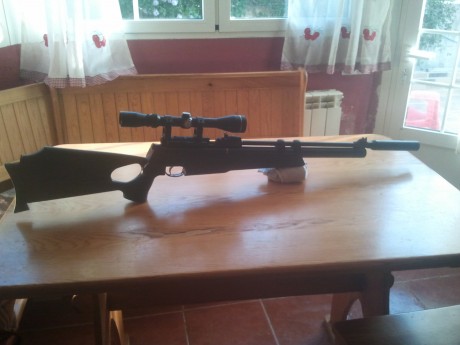 Vendo carabina hatsan AT 44 calibre 6,35 precio 450 euros no negociables se incluye bomba de aire y una 01