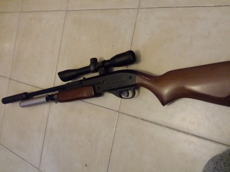 Bueno pues pongo aquí mi primer brico de mi gamo g1200 150