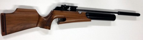 Vendo carabina Theoben, en calibre 5.5 con culata de nogal,
sistema de llenado "V" Rápido con 02