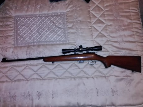 Se vende carabina Norinco del 22 Magnum, con anillas de 11 mm. y visor 4x32.
 Entrega en mano en Barcelona.
Precio 02