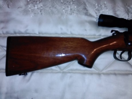 Se vende carabina Norinco del 22 Magnum, con anillas de 11 mm. y visor 4x32.
 Entrega en mano en Barcelona.
Precio 01