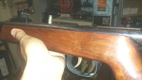 Un señor me ha pedido que le ponga a la venta dos unidades de esta carabina rara i digicil de ver. Creo 02