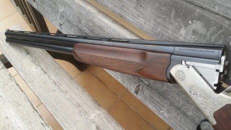 Buenas a todos. Vendo por exceso de armas esta fabarm gamma lux sporting 71 de cañon  con polichokes. 41