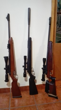 Buenos días compañeros!!

Después de mucho tiempo leyendo y aprendiendo del foro, os presento mis carabinas;

La 02