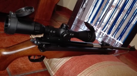 Buenos días compañeros!!

Después de mucho tiempo leyendo y aprendiendo del foro, os presento mis carabinas;

La 01