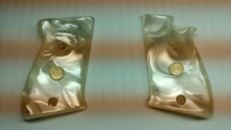 Un amigo vende estas cachas. Son de la astra contable.
Pero me dice que también se adaptan a la TS  quitando
La 00