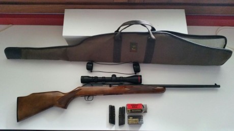 Vendo carabina Savage calibre 22, con 2 cargadores, visor y funda. En perfecto estado de funcionamiento 01