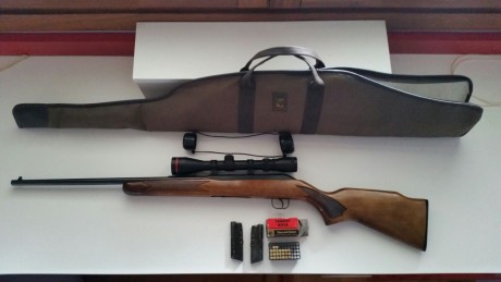 Vendo carabina Savage calibre 22, con 2 cargadores, visor y funda. En perfecto estado de funcionamiento 00