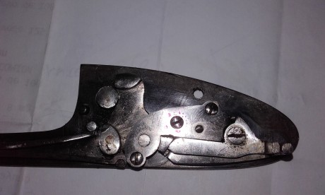 Hola compañeros

Estoy en negociaciones para comprarme mi primera escopeta yuxtapuesta y hay dos cosas 60