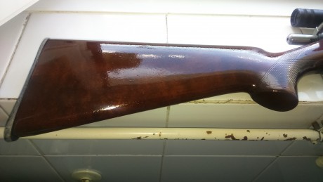 Vendo carabina Onena, cal. 22, con visor Kassnar 4x28 REBAJADA a 90 euros. Con tres cargadores. El arma 01