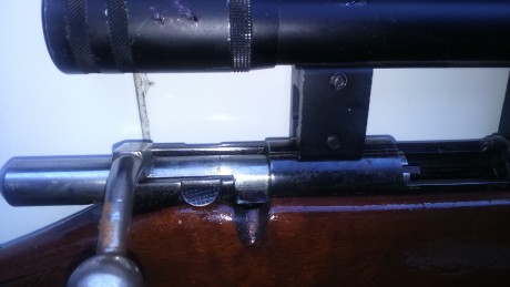 Cambio carabina Onena calibre 22, con tres cargadores y visor Kassnar 4x28
Cambio por escopeta semiautomatica 00