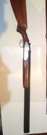 VENDO o CAMBIO por carabina .22lr o PCP, visor o prismaticos de calidad, escucho ofertas ...,   
Escopeta 02