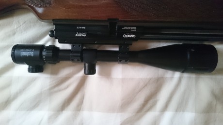 Buenas!

Vendo chinoscopio 6-24x50 para PCP, montado en una coyote y usado muy poco. Tiene esas típicas 02
