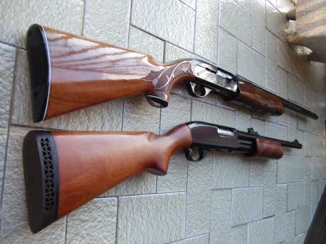Hola, recientemente he adquirido la Remington 1100 que estaba a la venta en la Armería Navas, para mí 142