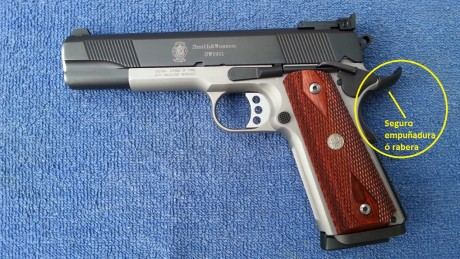 Hola:
Pues lo dicho compro seguro empuñadura de una S&W 1911 45acp en perfectas condiciones. Imprescindible 00