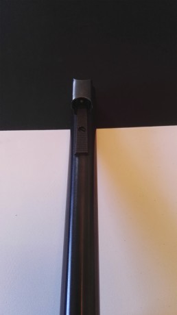 Buenas

Vendo Marlin .444 por no usar, tiene muy pocos tiros.
El precio son 750€ mas portes si las hay, 11