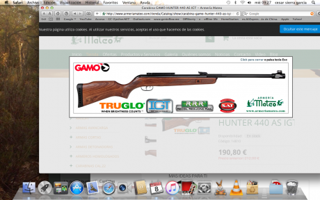 hola a todos quería comprame una carbina de aire  sistema igt, he visto la  gamo hunter 440 as igt pero 01