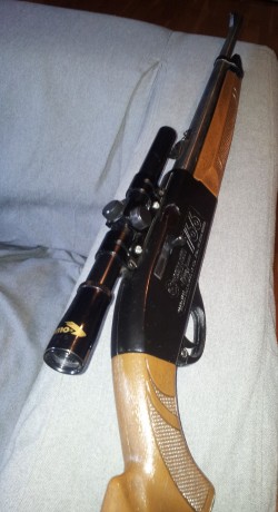 Vendo esta carabina crosman 766 + visor gamo, no tengo ni idea de aire comprimido pues era de mi padre, 02