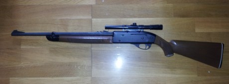 Vendo esta carabina crosman 766 + visor gamo, no tengo ni idea de aire comprimido pues era de mi padre, 12