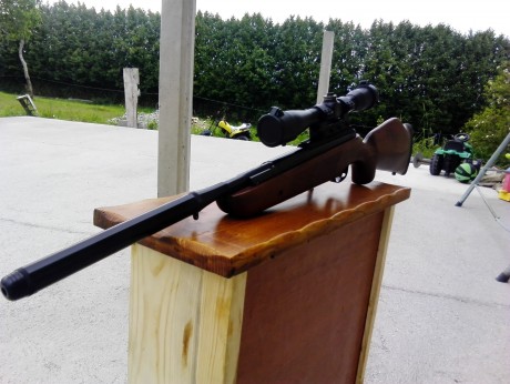  bsa impecable.
Comprada nueva en armería hace dos meses. Le quedan casi dos años de garantía.

Entrego 02