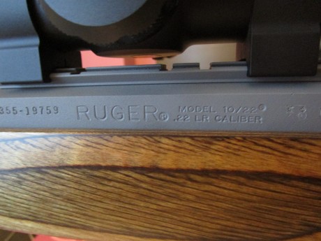 Se vende carabina RUGER 10/22 TARGET INOX , cal.22 LR, (SOLO VENTA CARABINA ) visor y bipode NO se venden 00