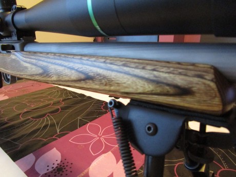Se vende carabina RUGER 10/22 TARGET INOX , cal.22 LR, (SOLO VENTA CARABINA ) visor y bipode NO se venden 12