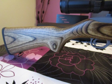 Se vende carabina RUGER 10/22 TARGET INOX , cal.22 LR, (SOLO VENTA CARABINA ) visor y bipode NO se venden 11