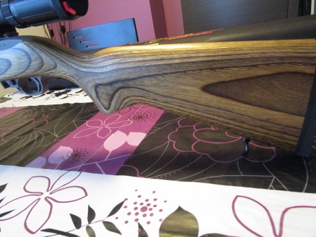 Se vende carabina RUGER 10/22 TARGET INOX , cal.22 LR, (SOLO VENTA CARABINA ) visor y bipode NO se venden 10