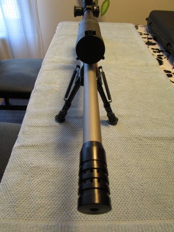 Se vende carabina RUGER 10/22 TARGET INOX , cal.22 LR, (SOLO VENTA CARABINA ) visor y bipode NO se venden 21