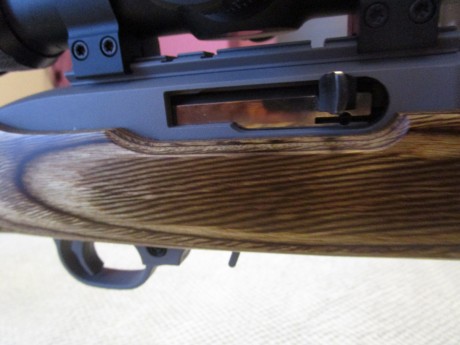 Se vende carabina RUGER 10/22 TARGET INOX , cal.22 LR, (SOLO VENTA CARABINA ) visor y bipode NO se venden 20