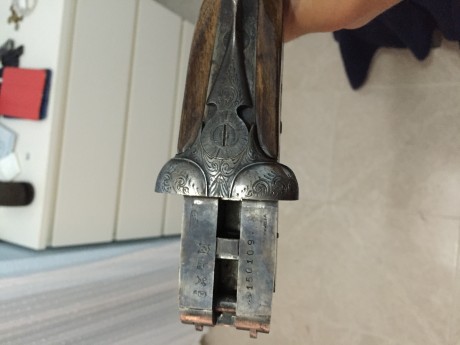 Hola a todos, quiero poner a la venta esta escopeta que herede y acabo de repasar, pero no tengo ni idea 10