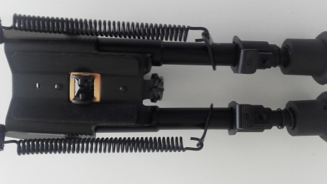 Son bipodes genericos,sin marca, pero cumplen muy bien su cometido.  14  cm plegado y 21,5 cm extendido.
Rapido 62