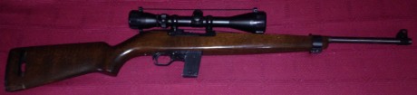 Vendo carabina del calibre 22 lr replica M1 con mira norica guiada con licencia E precio 200€ 02