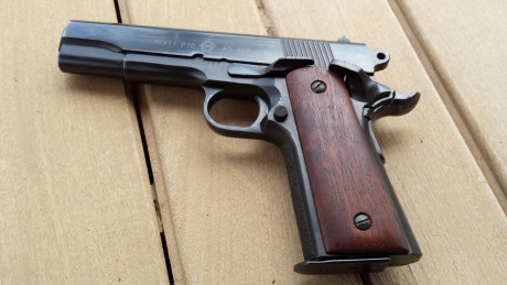 Hola. 
Vendo Norinco 1911 en 45 ACP. Buen estado general. Usada solo en precision. 02