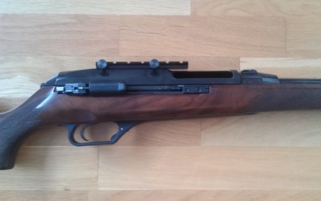 Rifle semiautomatico modelo de cañon corto, impoluto de pavon y partes mecanicas, madera en buen estado. 31