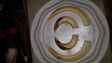 Bueno comentaros que estos dos últimos fines de Semana y tras llagar a mi poder 1kg de esta Misteriosa 121