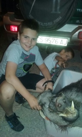 Bueno comentaros que estos dos últimos fines de Semana y tras llagar a mi poder 1kg de esta Misteriosa 130