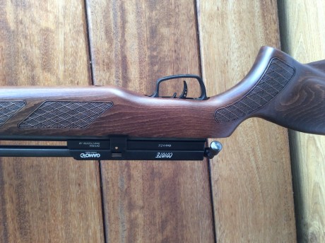 Vendo pcp Gamo Coyote calibre 5,5 versión culata de madera. Impecable. Comprada hace un par de meses. 00