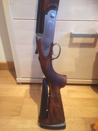 ]Buenas a todos los foreros mi consulta es sobre la escopeta rizzini s2000 sporting si es buena escopeta 00